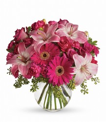 A Little Pink Me Up from Schultz Florists, flower delivery in Chicago